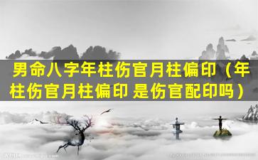 男命八字年柱伤官月柱偏印（年柱伤官月柱偏印 是伤官配印吗）